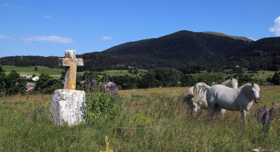 Camurc_croix_du_Pech_07-20